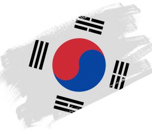 abstract paint brush textured flag south korea white background