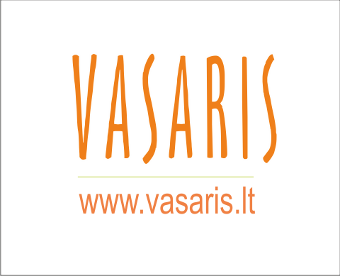 2019 Vasaris logo png ok